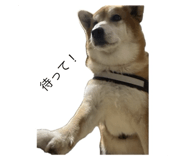 787316966