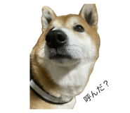 787316967