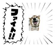 787316968