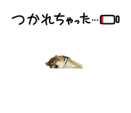 787316969