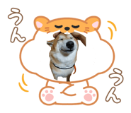 787316970