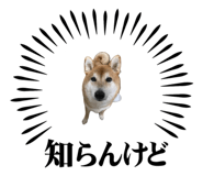 787316971