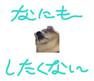 787316972