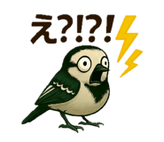 787370023