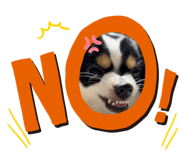 787373714