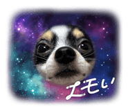 787373727