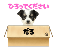 787373728