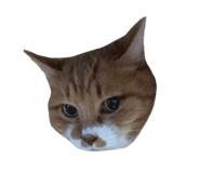 787382865