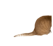 787382869