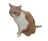 787382884