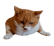 787382894