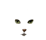 787382896