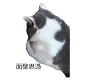 787383874