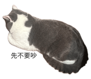 787383875