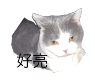 787383876