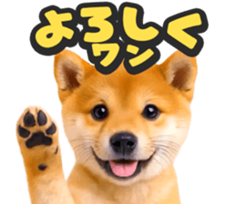 787386625