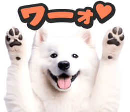 787386643
