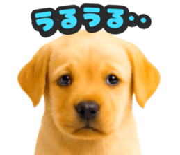787386644