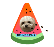 787413788