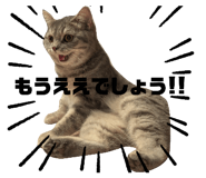 787413860