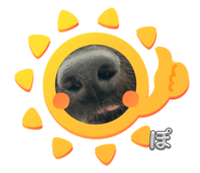 787427985