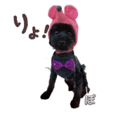 787427989