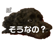 787428762
