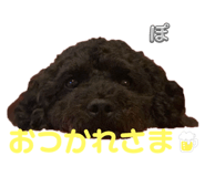 787428763