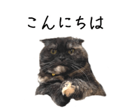 787440925