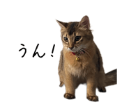 787440941