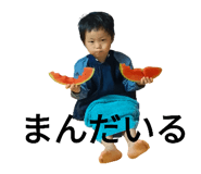 787442019