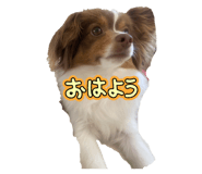 787453787