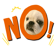 787474554