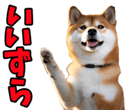 787478737