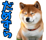 787478738