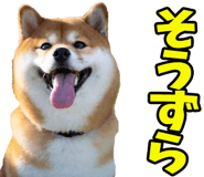 787478739