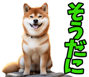 787478740