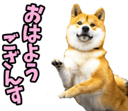 787478741