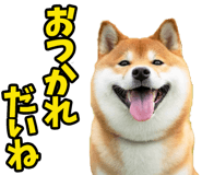 787478744