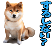 787478746