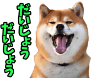 787478747