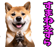 787478748