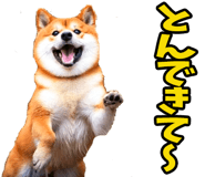 787478750