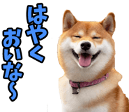 787478751