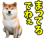 787478754