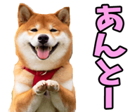 787478755