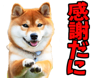 787478756