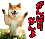787478760