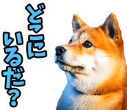 787478761