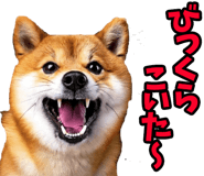 787478765